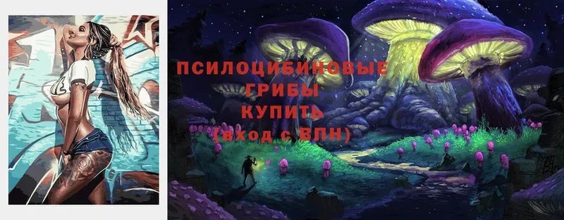 Псилоцибиновые грибы Psilocybe  Бобров 